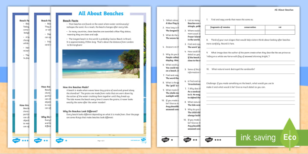 All About Beaches Differentiated Reading Comprehension Activity