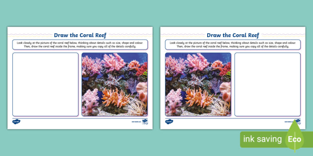 Draw the Coral Reef Worksheet