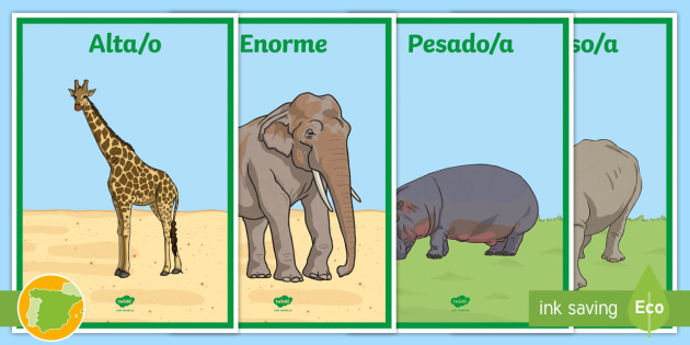 Posters: Adjetivos para describir animales
