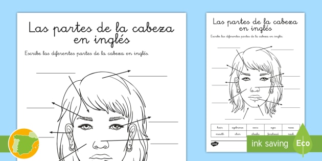 A1 Ficha de actividad: Las partes de la cabeza en inglés