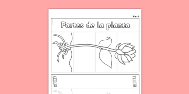 plano-de-aula-as-plantas-montessori-ideas-science-for-kids-flip-book