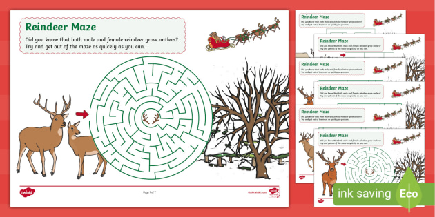 Reindeer Facts for Kids - Twinkl Homework Help - Twinkl