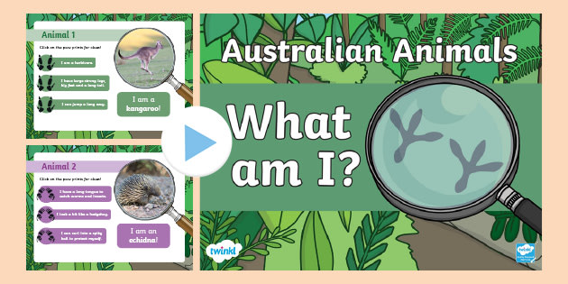 fire Selskab Komedieserie Australian Animals What Am I? Interactive PowerPoint Game