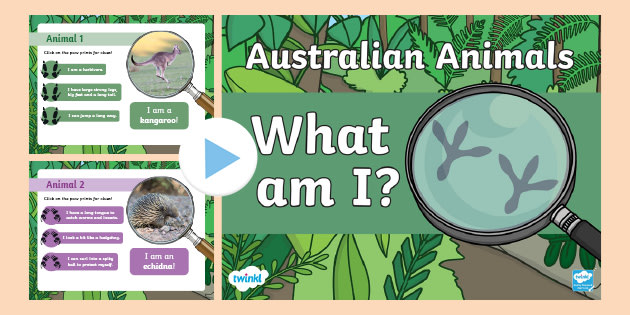 australian-animals-what-am-i-interactive-powerpoint-game