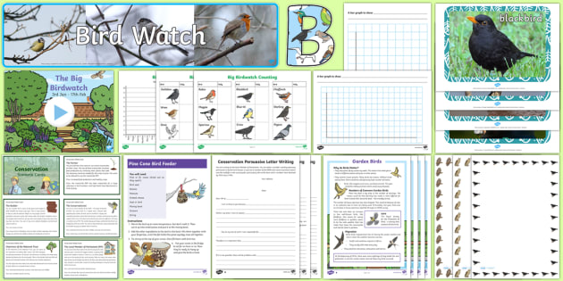 badminton game essay in marathi