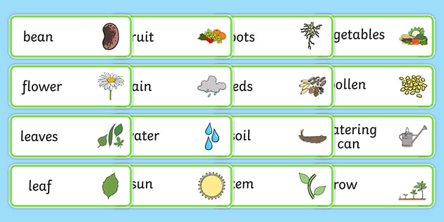 FREE! - Growth Topic Word Cards (teacher made)