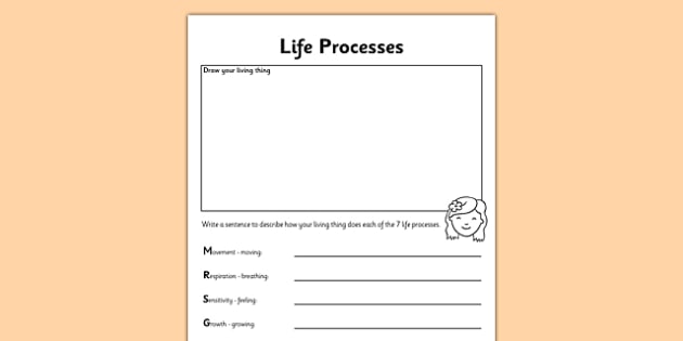 Seven Life Processes Worksheet