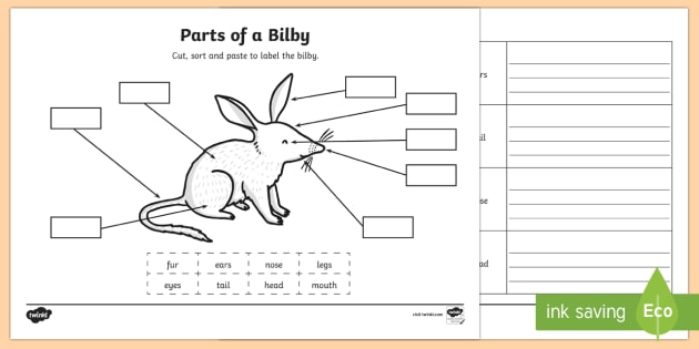 Bilby Activity Sheets | Parts of a Bilby Worksheets