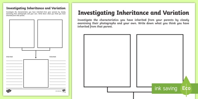 animal worksheet adaptation and Variation Worksheet Inheritance Investigating