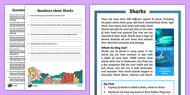 Sharks Reading Comprehension Activity