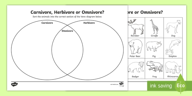 on kindergarten worksheet food for groups Herbivore Sorting Diagram Venn or Omnivore Worksheet Carnivore