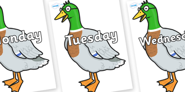 Days of the Week on Drakey Lakey