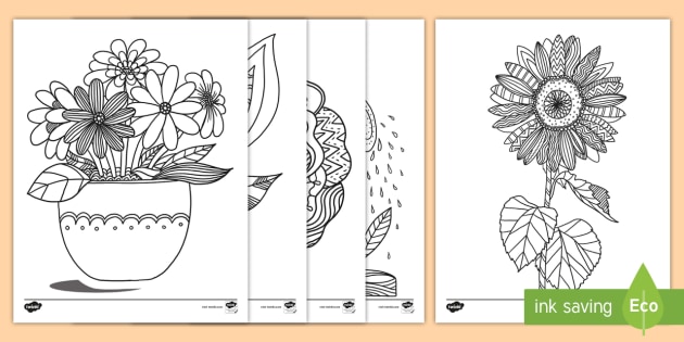 plants and growth coloring sheets teacher made