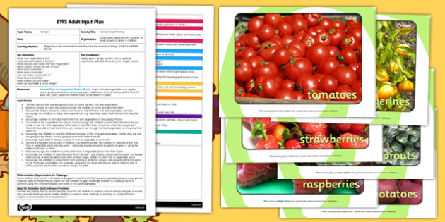 Harvest Food Printing EYFS Adult Input Plan and Resource Pack - harvest