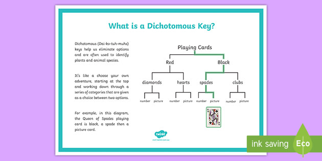 what-is-a-dichotomous-key-teacher-made