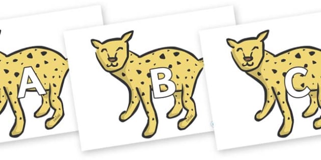 A-Z Alphabet on Cheetahs (teacher made)