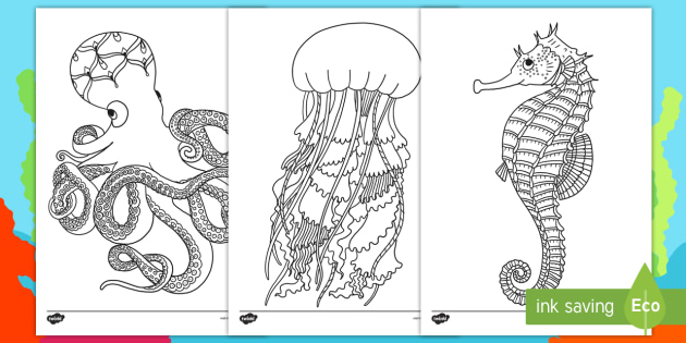 Under the Sea Relaxing Coloring Pages for Kids