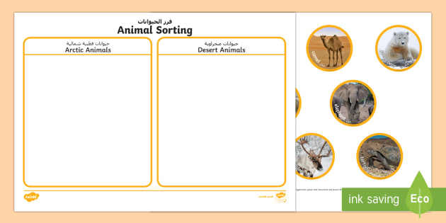 Animal Sorting Activity Arabic/English (teacher made)