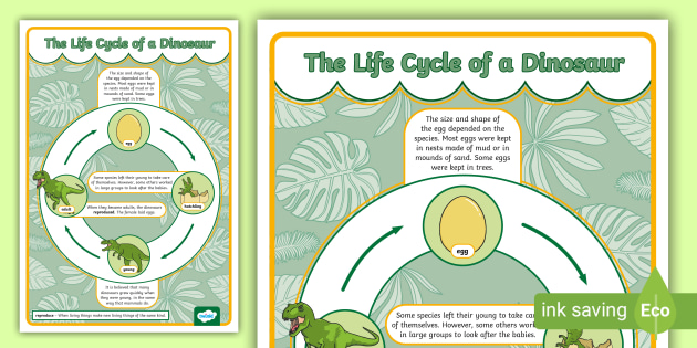 Dinosaur Life Cycle Poster Teacher Made