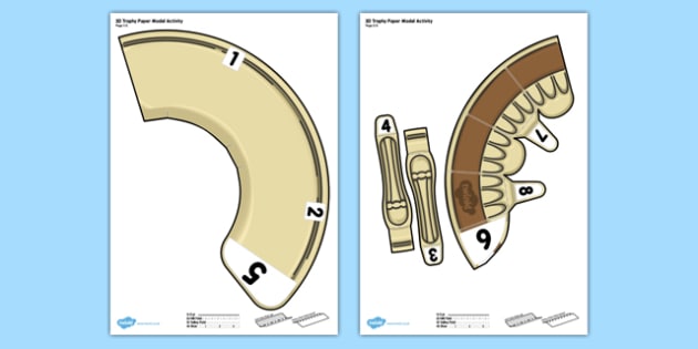 3D Trophy Paper Model Activity teacher Made 