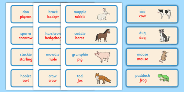 Scots/Doric Animal Words Cards - Teacher-made CfE Resource