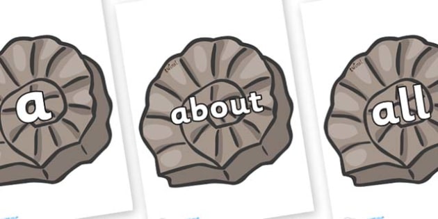 100 High Frequency Words on Fossils (teacher made)