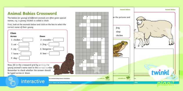 Year 2 Science Home Learning Resource Animal Babies