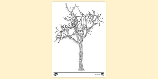 FREE! - Tree Colouring Page - Primary School - Twinkl