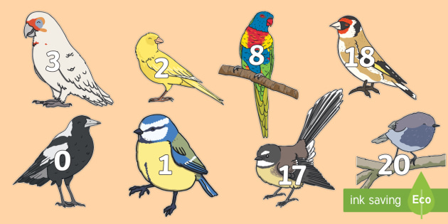 Cute Bird Template Numbers 0 to 20 | Maths | Primary