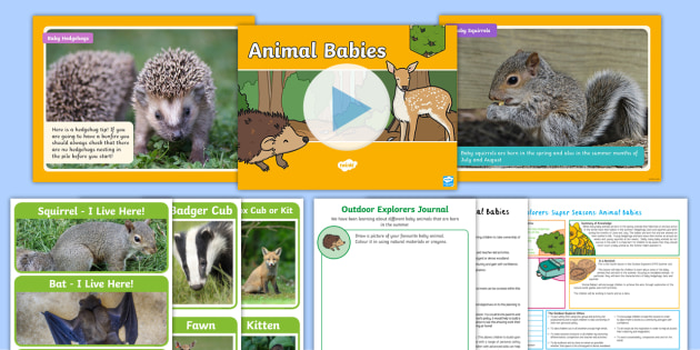Outdoor Explorers Lesson 4 EYFS Animal Babies Lesson Pack