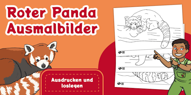 Roter Panda Zum Ausmalen