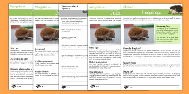 Hedgehogs Reading Comprehension English/Polish