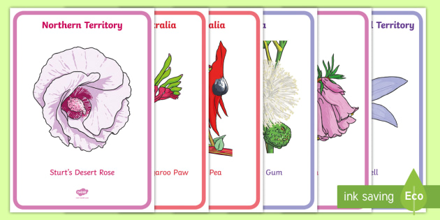 State Floral Emblems Display Pack teacher Made state-floral-emblems-display-pack-teacher-made