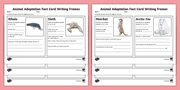 Animal Adaptation Fact Writing Sheets (teacher made)