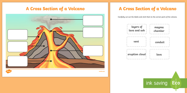 Volcano Cross Section Labeling Activity - KS1 Geography