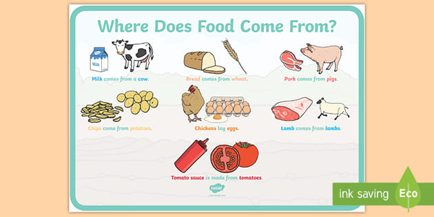 Where Do We Get Most Of Our Food From