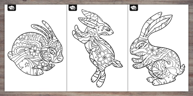 Year of the Rabbit Printable Colouring Rabbit | Twinkl Party