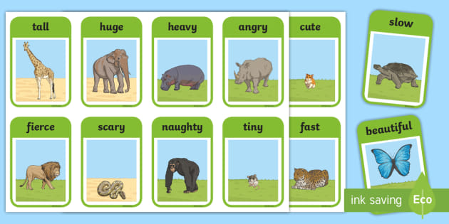 zoo-animals-adjectives-flashcards-teacher-made