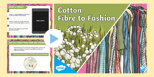 Cotton – Fibre to Fashion PowerPoint (Teacher-Made)