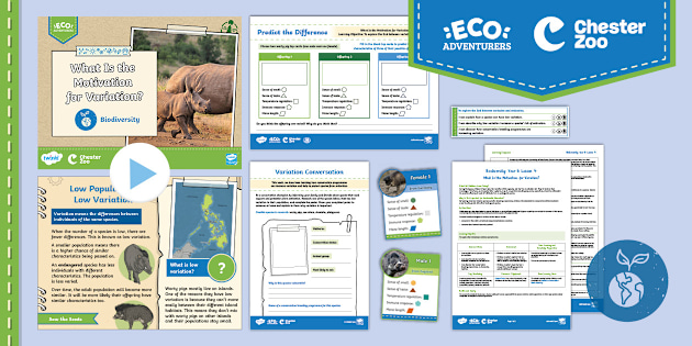 Year 6 Biodiversity: Lesson 4 - What Is the Motivation for Variation?
