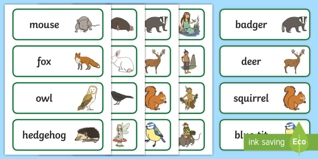 Woodland Creatures Word Cards (teacher made)