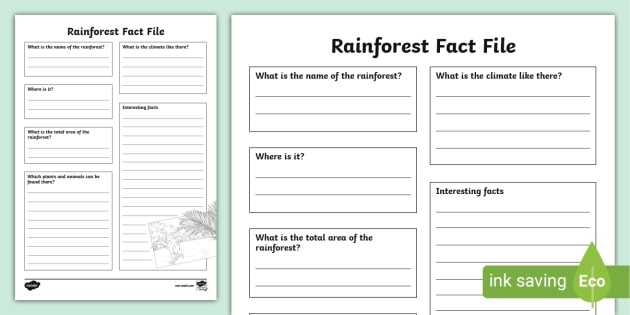 Rainforest Fact File Template Teacher Made