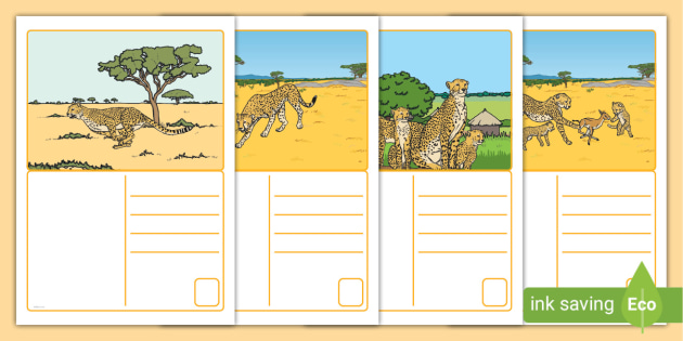 Free Cheetah Postcards Teacher Made 7347