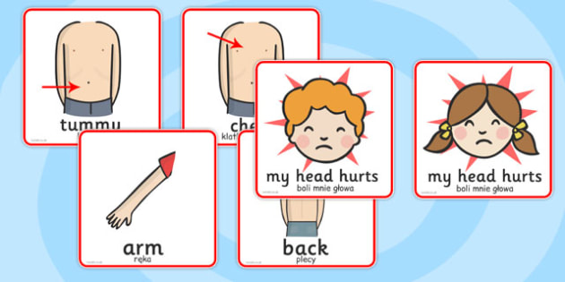 Parts of the Body Communication Cards Polish Translation - polish