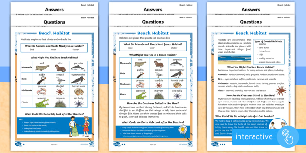 Beach Habitat Differentiated Worksheets - Seaside