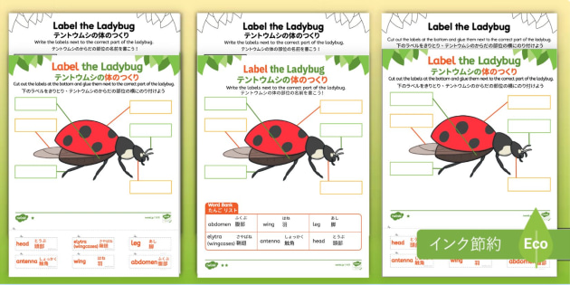 jp-preview-ladybug-label_ver_1.jpg