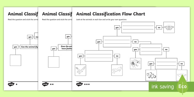 Animal Flow Chart Worksheet (teacher made) - Twinkl