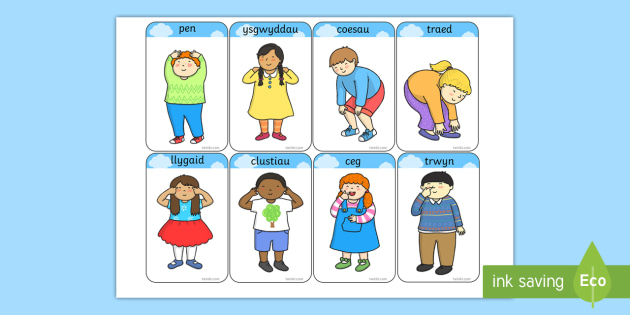 Super simple head shoulders. Head Shoulders Knees and Toes Flashcard. Head Shoulders Knees and Toes Flashcards for Kids. Flashcards Knees and Toes. Flashcard head Shoulders.