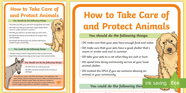 Caring For Animals Poster Protecting Animals Information