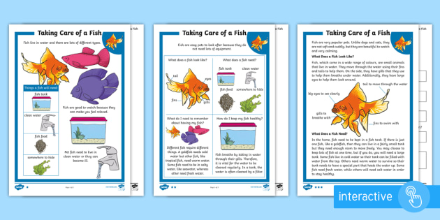 KS1 How to Look after a Fish Differentiated Comprehension Worksheets